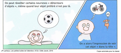 Découvrir le programme ATOLE \